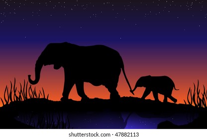 Family of elephants on the walk under the starry sky. Great for mother's day. Vector illustration