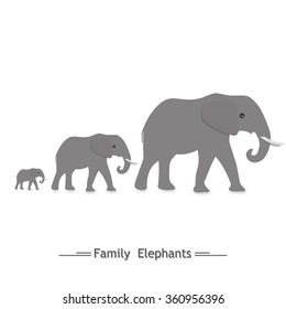 the family of elephants, three, logo, shadow