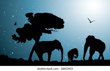 family of elephants, vector illustration
