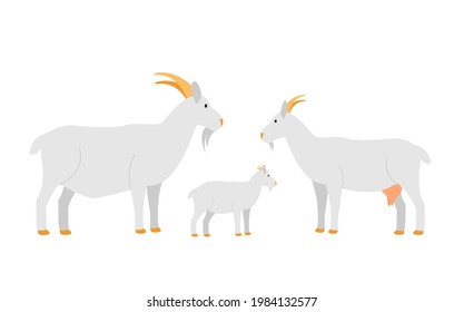 Family of farm goats, mom dad and cub