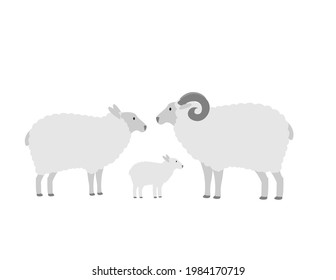 Family of farm Sheep, mom dad and Lamb