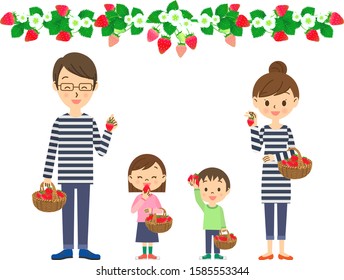 Family of four enjoying strawberry picking