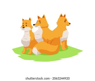 Familia de zorros sentados en pradera, ilustración vectorial plana aislada en fondo blanco. Población de animales Fox, bosque y animales europeos de naturaleza salvaje.