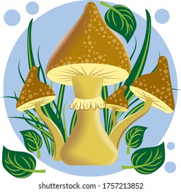 The family of fungi grows in grass. Mushrooms with a beautiful hat on a vector image.