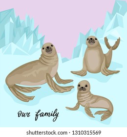 Family of fur seals on the glacier. Seals in different poses. Ice and snow on the background. Vectric illustration of isolated characters and background. Lettering Our family. Flat cartoon concept.