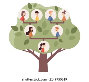 Family genealogic tree. Parents and grandparents, children. Genealogy, pedigree. Genealogical concept. Vector flat illustration