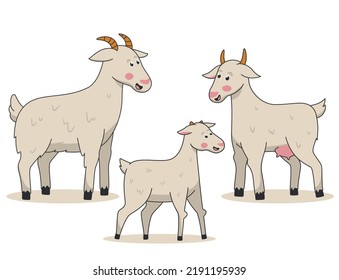 A family of goats stands on a white background