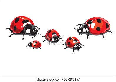 a family or a group of insects spotted ladybugs crawling decorating a peaceful world