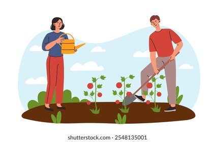 Family growing vegetables. Woman with watering can and man with rake prepare soil for tomatoes. Farming and agriculture. People with harvest and crop. Flat vector illustration