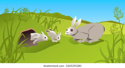 a family of hares in a clearing breeding spring warmth offspring of mammals mother and children learn to jump to run near a hole biology zoology