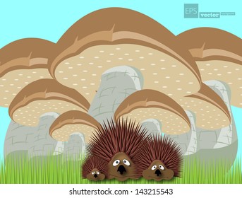 family of hedgehogs