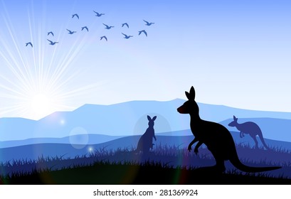 Family of kangaroo standing on the time of morning. Vector