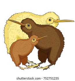 family the kiwi bird is cute vector illustration