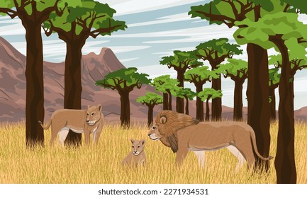 A family of lions in the African savannah.. Grove of baobabs. wild animals of africa. Realistic vector landscape