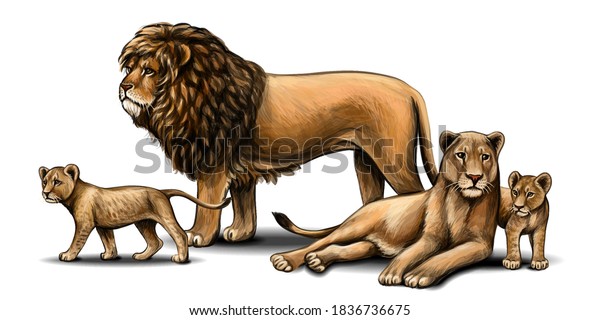 Family of lions. Pride. Color, graphic portrait of a lion family in watercolor style on a white background. Digital drawing.Vector graphics.
