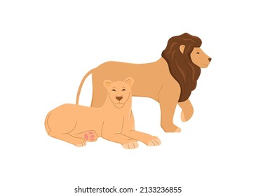 Family of lions or pride with male and females animals, flat vector illustration isolated on white background. Biological diversity of living organisms and animals.