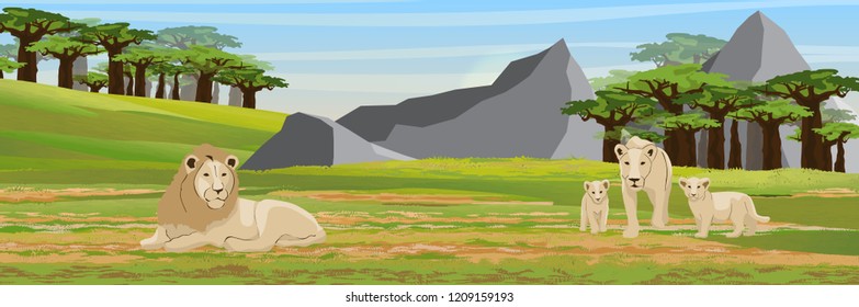 A family of lions resting in the African savannah. A lion, a lioness and two small lion cubs near the baobab trees and mountains. Wildlife of Africa. Vector landscape