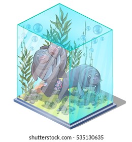 The Family Of The Manatee In The Cosy Aquarium With Algae Isolated On White Background. Vector Closeup Illustration.