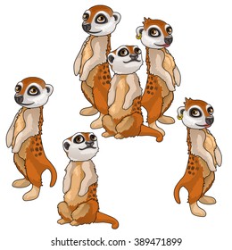 Family of meerkats. Animals isolated on a white background. Vector illustration.