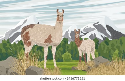 Familia de madres y niños llama se alza en un pasto seco en un valle cerca de una cordillera. Animales salvajes de Sudamérica. Paisaje vectorial realista