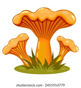 Family of mushrooms. Mushroom chanterelle. Nature. Ecology. Vector. Graphics. Simple, flat drawing. Deciduous, coniferous forest. Agricultural crop. 