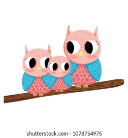 family owl cute animals in the branch