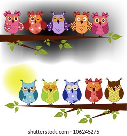 Family of owls sat on a tree branch at night and day