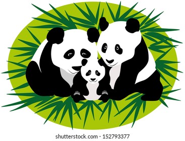 Family panda bears with a cub on bamboo background.