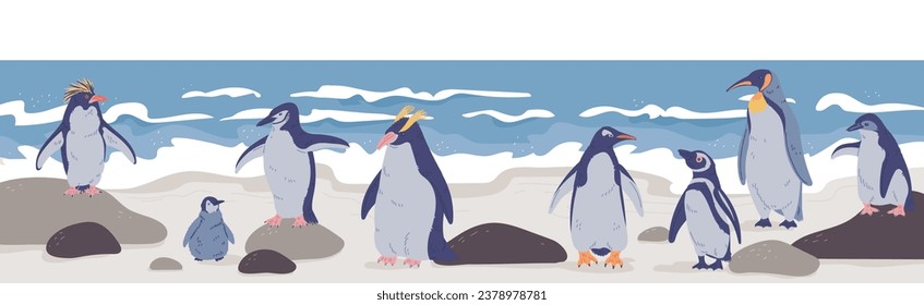 Family of penguins near the ocean, vector illustration. Set of different arctic birds on beach near cold sea on sand and stones. Cartoon wild animals of Antarctica in flat style. Horizontal picture.