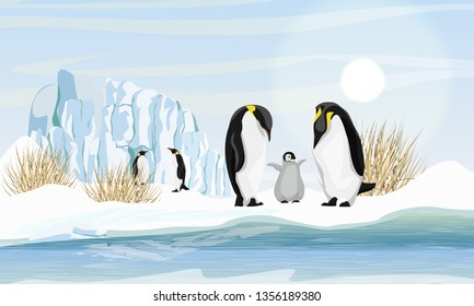 A family of realistic emperor penguins with a chick by the sea or ocean. Glacier and dry grass. Snow. Landscapes of the Antarctic. Realistic Vector Landscape