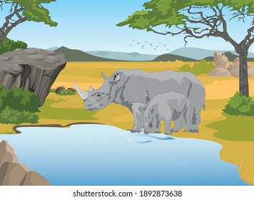 
family of rhinos by the river
