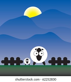 family sheep on the field night