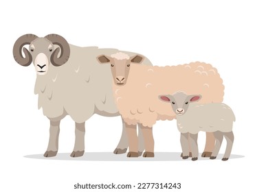 Familie der Schafe. Männliche und weibliche Nutztiere. Symbole für Schafe, Stamm und Lamm. Wollproduktion. Vektorgrafik oder Cartoon-Illustration einzeln auf weißem Hintergrund.