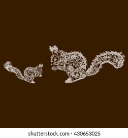 the family squirrel. mother squirrel teaching her youngster to chew the nut
