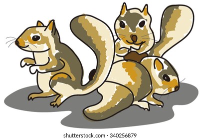 Family of Squirrels Having Fun.