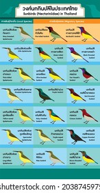 A family of Sunbird [Nectariniidae] in Thailand