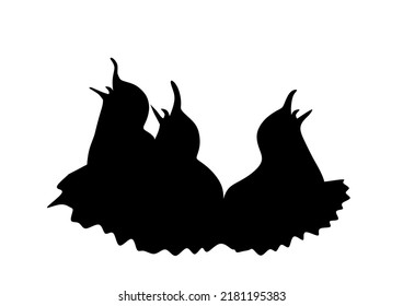 Family swallows young birds in nest waiting parents for feed vector silhouette illustration isolated on white background. Migratory bird, symbol of spring. Parents feeding hungry cubs. Hungry birds.