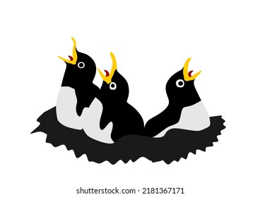 Family swallows young birds in nest waiting parents for feed vector silhouette illustration isolated on white background. Migratory bird, symbol of spring. Parents feeding hungry cubs. Hungry birds.