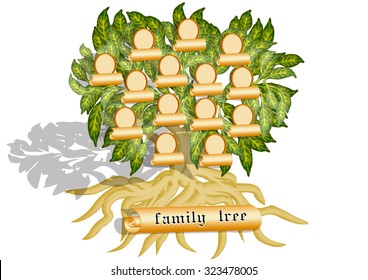 family tree