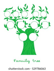 Family Tree Chart, Genealogical Tree Forfamily Portraits, Pedigree Photo Frame Thin Line Style Vector