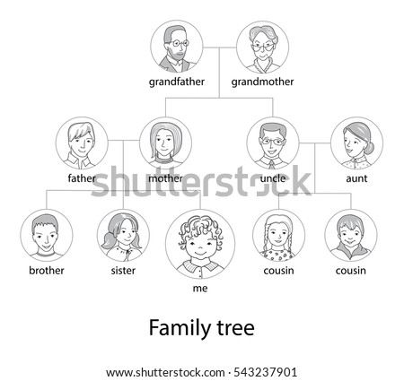 family tree chart genealogical tree family のベクター画像素材