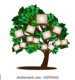 Family Tree Template Photos, Images & Pictures | Shutterstock