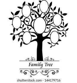 Family tree - frames empty for your input. Vector Illustration