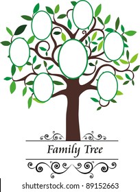 Family tree - frames empty for your input.  Vector Illustration