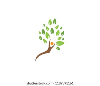 family tree graphics design