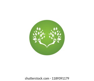 family tree graphics design