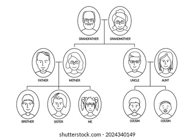 Family tree human avatars relationship scheme line illustration.