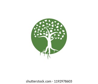 family tree ilustration logo template vector illustration