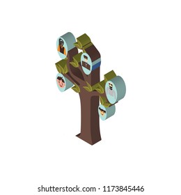 Family tree isometric left top view 3D icon