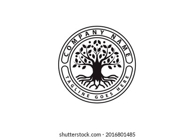 family tree of life logo vector template